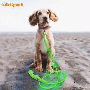 Walking Retractable Nylon Pet Dog Show Collar Leash Med ledande blinkning