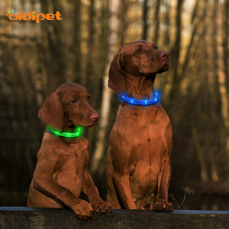 Promotional Colorful Usb Uppladdningsbara Blinkande Silikon Led Dog Collar Remote Control Vattentät Pet Collar And Leashes