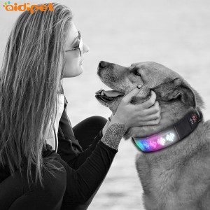 Wholesale Nylon Dog Collar Round Rope Integrerad dragkedja med skärm blinkande